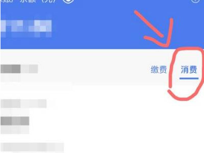 手机上怎么查医保卡余额第5步