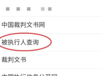 查执行人信息在什么网第3步