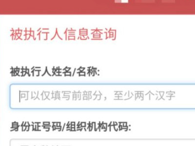 查执行人信息在什么网第4步