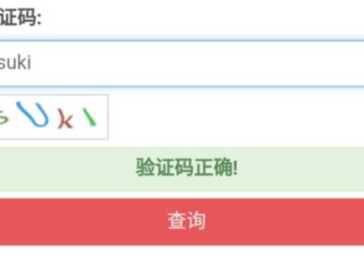 查执行人信息在什么网第5步