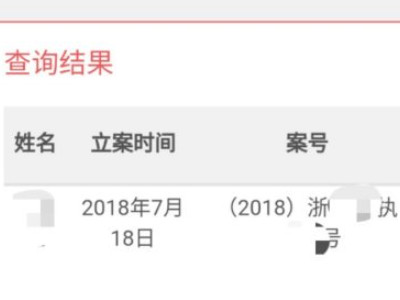 查执行人信息在什么网第6步