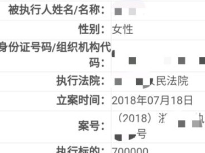 查执行人信息在什么网第7步