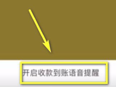 微信收款助手怎么设置声音第5步