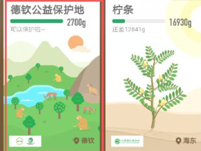 蚂蚁森林环保证书有什么用第5步