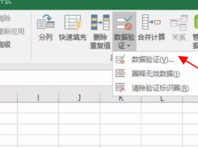 数据验证怎么设置第2步