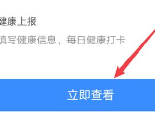 怎么查看健康码变金色第3步