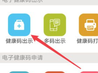 怎么查看健康码变金色第4步