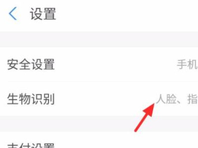 支付宝指纹支付为什么不能用了第4步