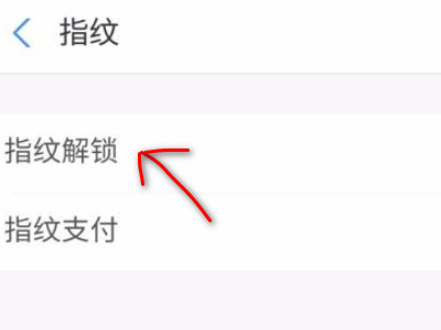 支付宝指纹支付为什么不能用了第6步