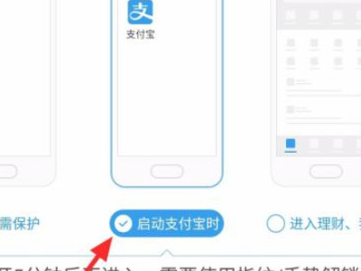支付宝指纹支付为什么不能用了第7步