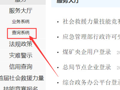 网上怎么查焊工证书第3步