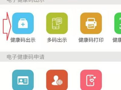 怎样在手机上查新冠疫苗记录第3步