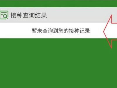 怎样在手机上查新冠疫苗记录第5步