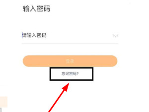 快手只记住ID号能找回吗第2步