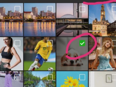 怎样把动态图发朋友圈第3步