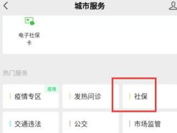 为什么微信上查不到医保余额第4步