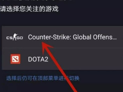 手机上怎么看csgo战绩第2步