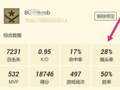 手机上怎么看csgo战绩第4步