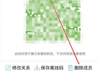 健康码在别人的手机上怎么办第4步