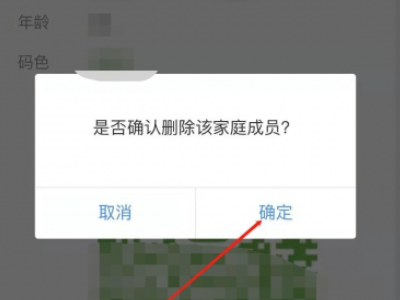 健康码在别人的手机上怎么办第5步