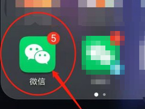 微信怎么强制删除账单第1步