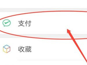 微信怎么强制删除账单第2步