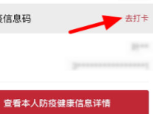 微信健康码加载不出来第5步