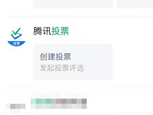 怎么发起投票第3步