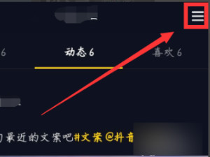 抖音主页访客设置在哪第3步