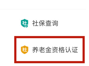 2021年养老认证手机如何操作第4步