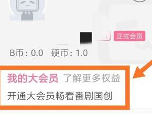 哔哩哔哩付费观看怎么付费第2步