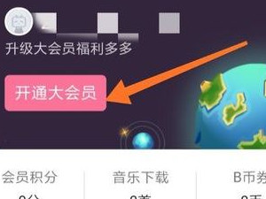 哔哩哔哩付费观看怎么付费第3步