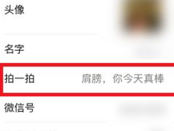 苹果拍一拍怎么设置内容第5步