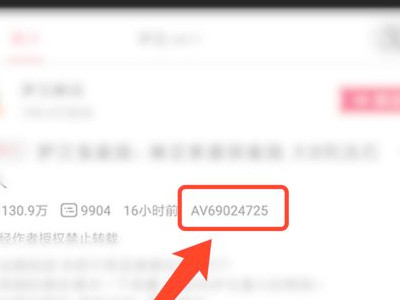 bilibili怎么看生肉视频第3步