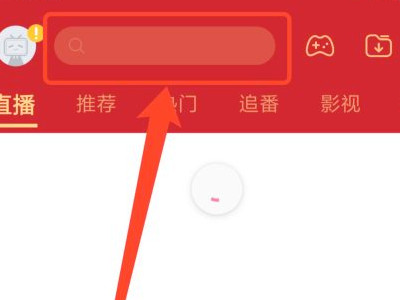 bilibili怎么看生肉视频第4步