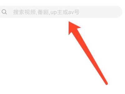 bilibili怎么看生肉视频第5步