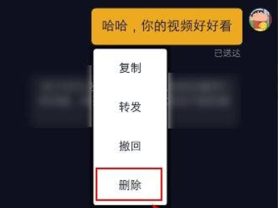 抖音聊天记录删除了还能查到吗第4步