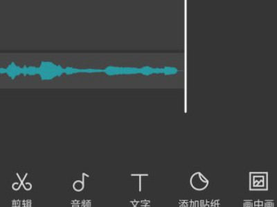 手机怎么把字幕文件加入视频第5步