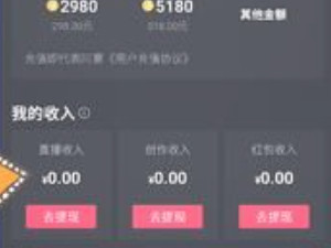 抖音播放量怎么算收入第5步