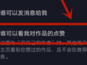 抖音我的喜欢怎么设置隐私第5步