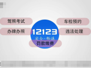 交管12123上怎么加分第5步