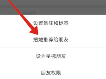 微信怎么分享好友名片第3步