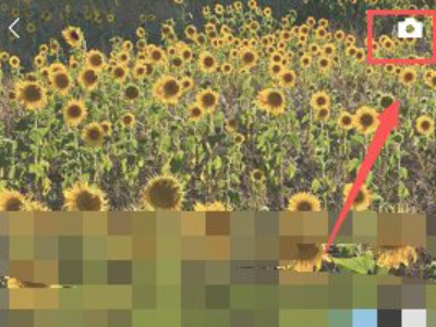 为什么我的微信不能光发文字第3步