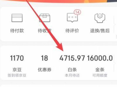 京东白条全部还款在哪里第2步