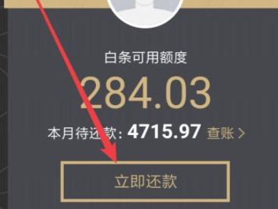 京东白条全部还款在哪里第3步
