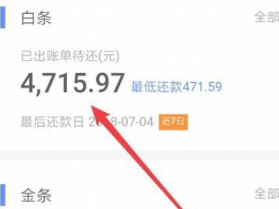 京东白条全部还款在哪里第4步