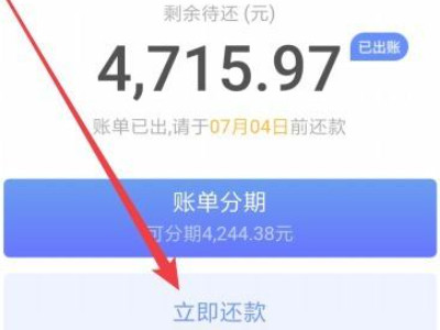 京东白条全部还款在哪里第5步