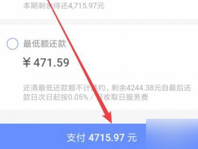 京东白条全部还款在哪里第6步