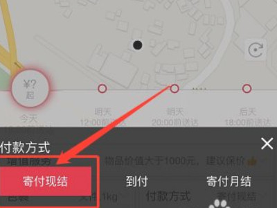 顺丰怎么线上支付运费第4步