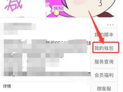 顺丰怎么线上支付运费第6步